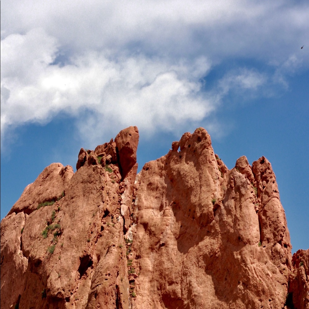 Postcards! - Picture 8 of 8